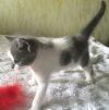 Уменьшенная картинка