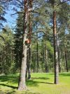 Уменьшенная картинка