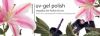 Материалы для наращивания ногтей Nogtika