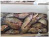Уменьшенная картинка