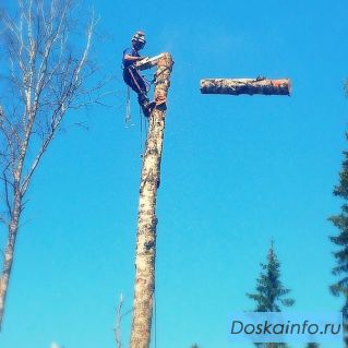 Удаление деревьев частями