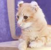 Уменьшенная картинка