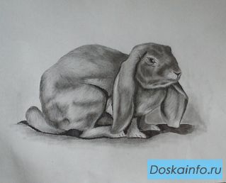 Уроки рисования карандашом