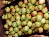 Уменьшенная картинка