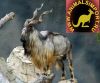 Уменьшенная картинка