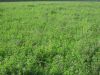 Уменьшенная картинка