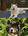 Уменьшенная картинка