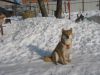 Уменьшенная картинка