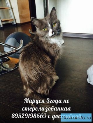 Маруся