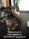 Уменьшенная картинка