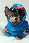 Уменьшенная картинка