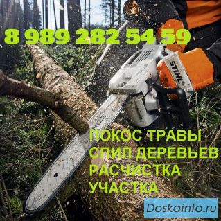 Покос травы, спил деревьев. Расчистка участков.