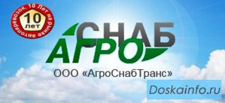 Водитель            экспедитор.