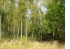 Уменьшенная картинка