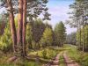 Участок 200 соток