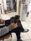 Уменьшенная картинка