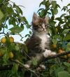 Уменьшенная картинка