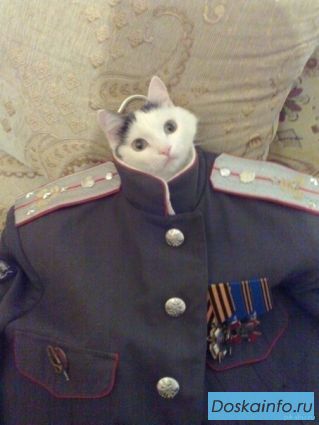 Работа, доступная абсолютно всем