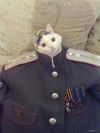 Работа, доступная абсолютно всем