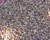 Уменьшенная картинка