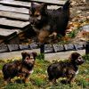 Уменьшенная картинка