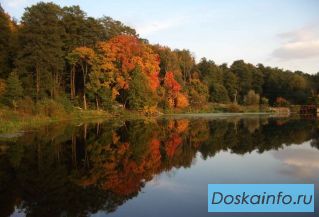 Арендую дом или коттедж до 30 км от мкад южное