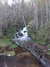 Уменьшенная картинка