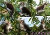 Уменьшенная картинка
