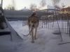 Уменьшенная картинка