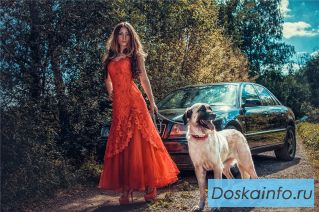 Турецкий Кангал Ирма в дар
