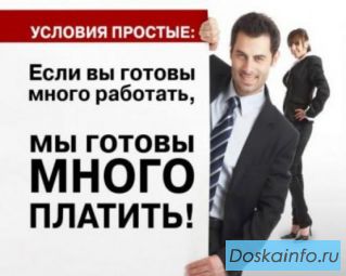 Директор по развитию
