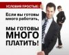 Директор по развитию
