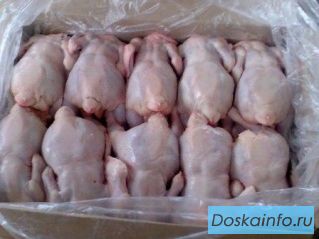 Курица                             оптом.               
