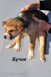 Уменьшенная картинка