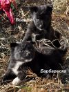 Уменьшенная картинка