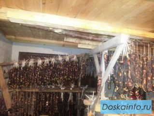 Колбаса из жеребенка Казылык
