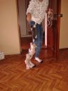 Уменьшенная картинка