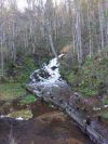 Уменьшенная картинка