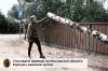Уменьшенная картинка