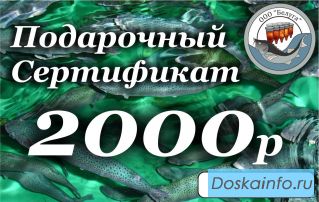Платная рыбалка круглый год без выходных.