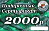 Платная рыбалка круглый год без выходных.