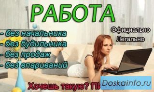 Работа на дому (2-3 часа в день)