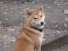Уменьшенная картинка