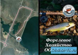 Платная       рыбалка круглый год без         выходных.