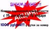 Новый год и Рождество в         Абхазии 2015