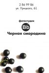 Уменьшенная картинка