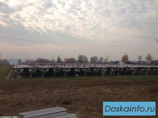 Кроликоферма      на        6000    голов