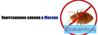 Уничтожение клопов, тараканов, крыс, грызунов.