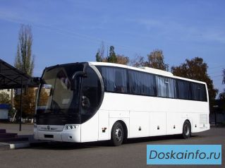 Автобус     2008г.