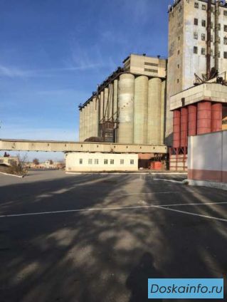 Услуги          аренды         элеватора